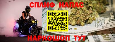 МДПВ Дубна