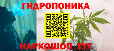 МДПВ Дубна