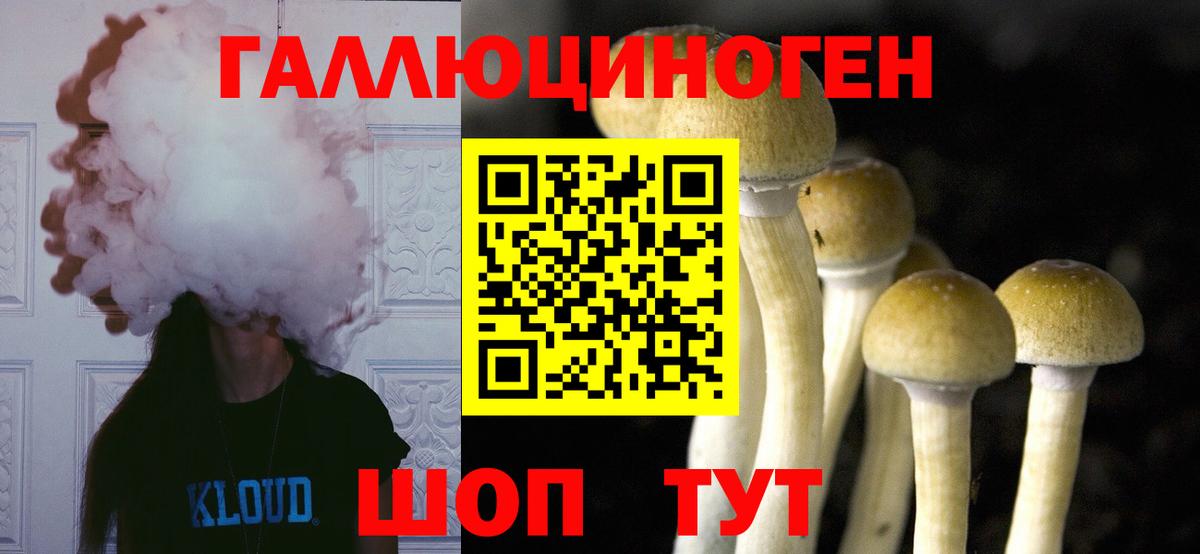 Галлюциногенные грибы Psilocybine cubensis  Вход с VPN  купить  цена  Мценск 